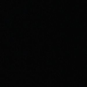 Meet your Posher, Lexi